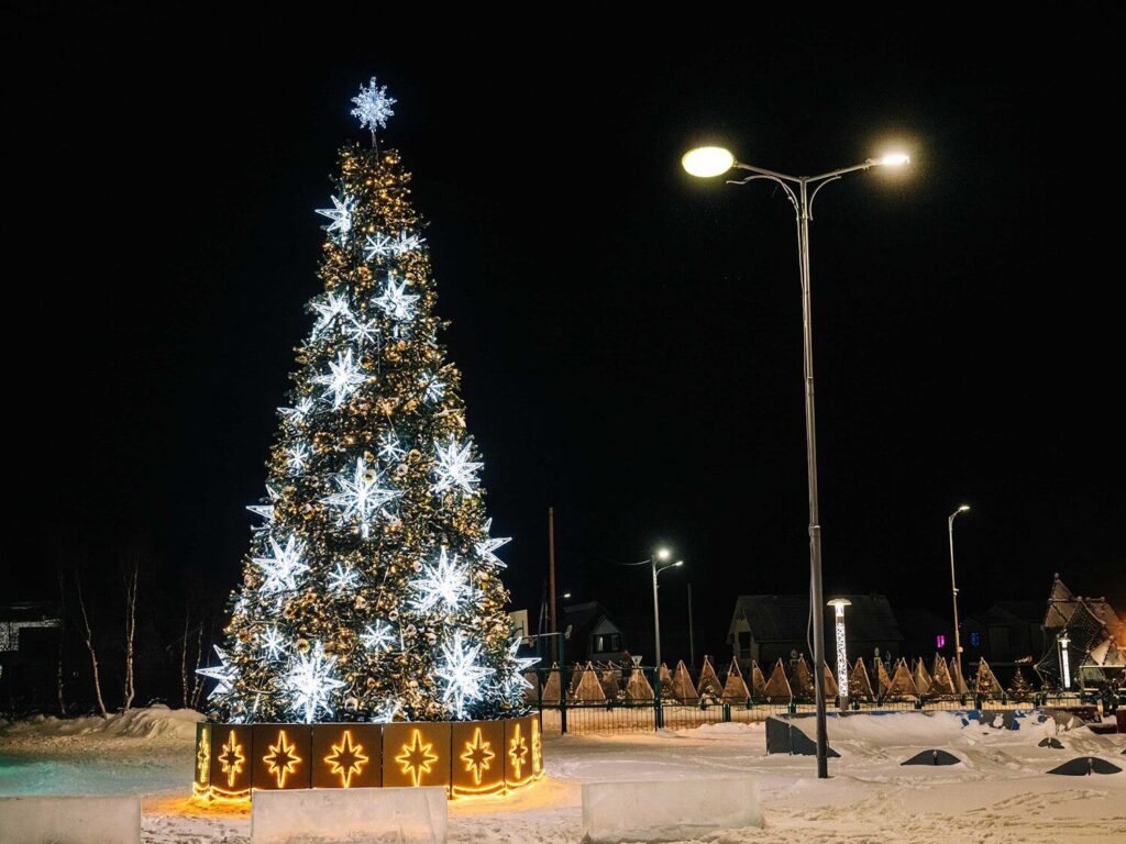 Парад хвойных силуэтов